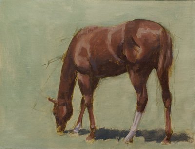 A gestural sketch of a young horse (filly) grazing.