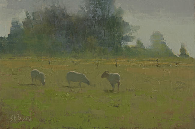 Three sheep in a green field with large mass of trees in the background.