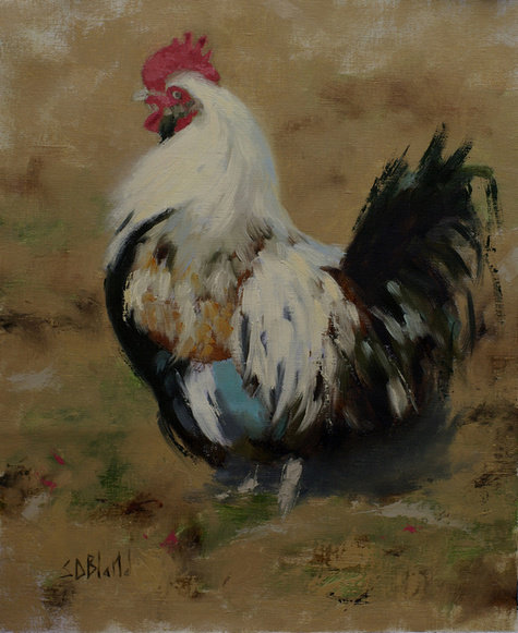 Rooster