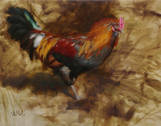Rooster