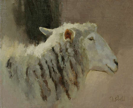 Sheep Purple